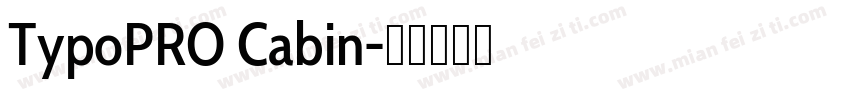 TypoPRO Cabin字体转换